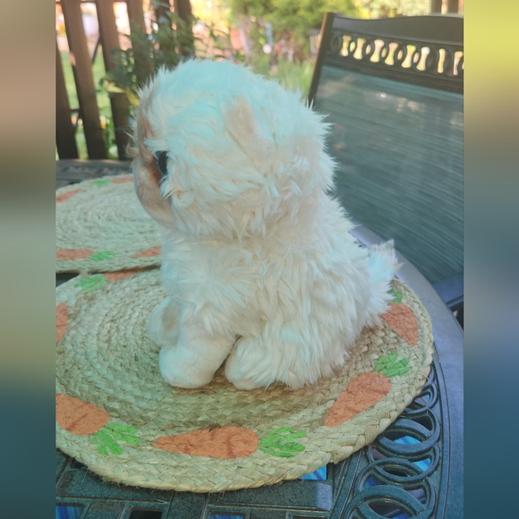 Hugs baby cat - Picture 4 of 8